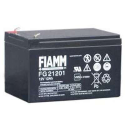 Аккумуляторная батарея Fiamm FG21201