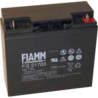 Аккумуляторная батарея Fiamm FG21703