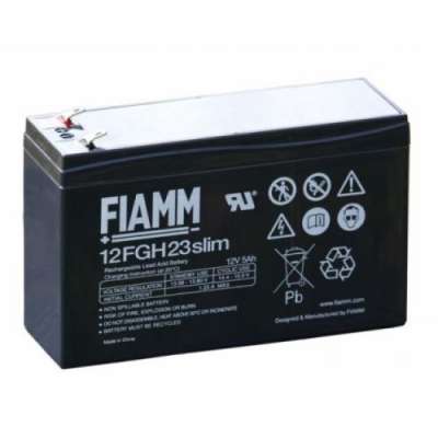Аккумуляторная батарея Fiamm 12FGH23 slim