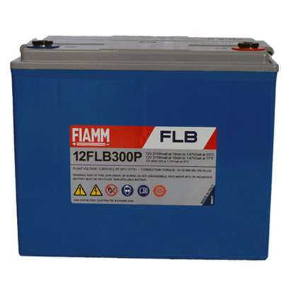 Аккумуляторная батарея Fiamm 12FLB300P